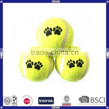 Cheap Pet Tennis Ball with high quality