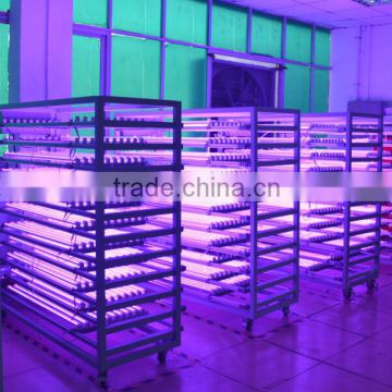 2015 Hot And boy tube Cheap 600w Indoor Led Grow Lighting Green House 600w Led Grow Light boy tube T5/8tube japan