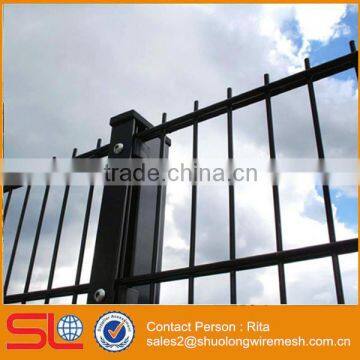 Double Bar Steel Weld Mesh Fencing