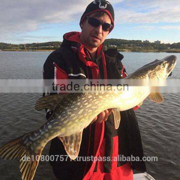 Best Quality Nylon Monofilament Fishing Lines 100% Made in Germany Medium Spools 8000M 0.12mm photo-5