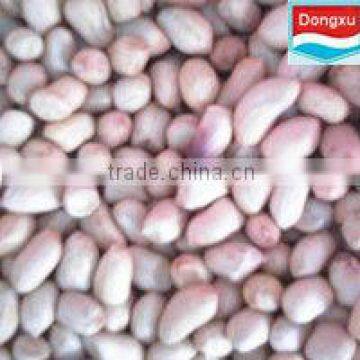 raw peanuts round type