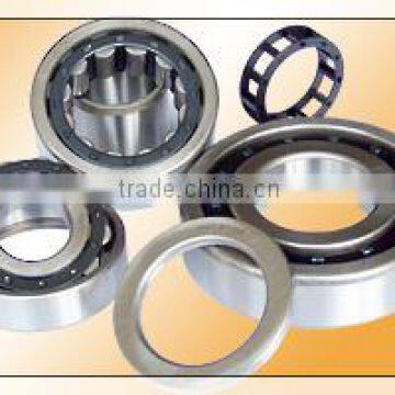 High Quality cylindrical roller Bearings N NJ NU NUP405