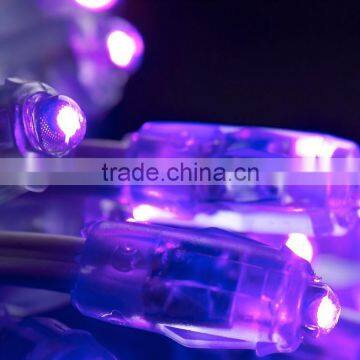 Express Bettery Powered Waterproof Led String Light photo-4