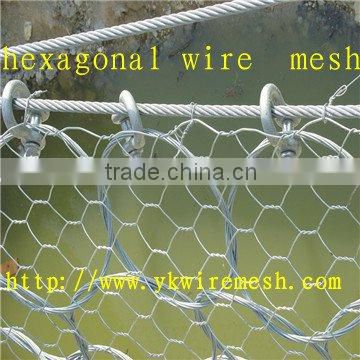 hexagonal wire mesh