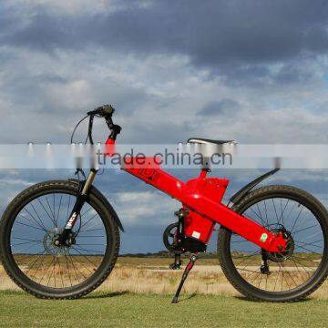 Seagull CVT-With Nuvinci 360---Electric Bike