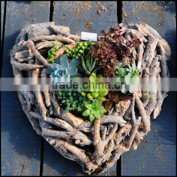 heart shape wood crafts for meaty plant