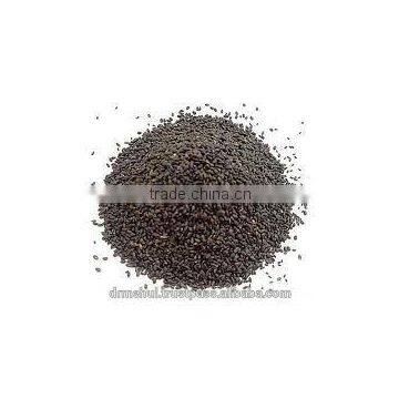 Dried Basil Seed