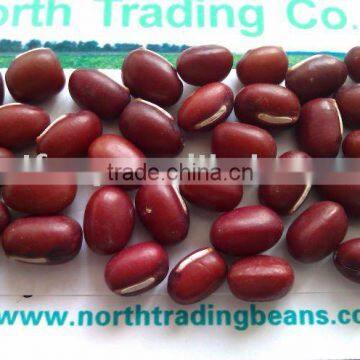 China Small Red Beans( Heilongjiang origin,2010 crop,hps)