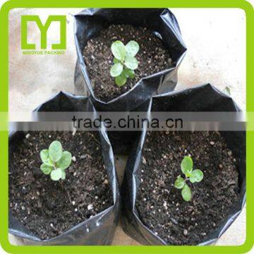 2016 Yiwu High Quality Plastic Tree Bag Customized High Quality Planter Bag