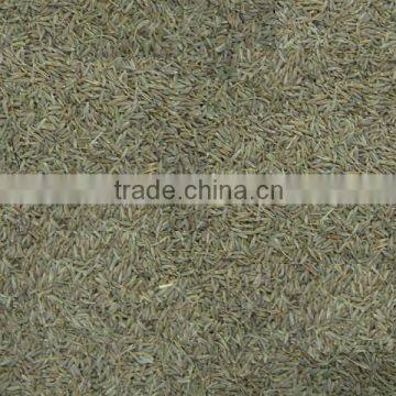 Europe Quality Indian Cumin Seed photo-4