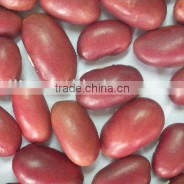 red kidney beans