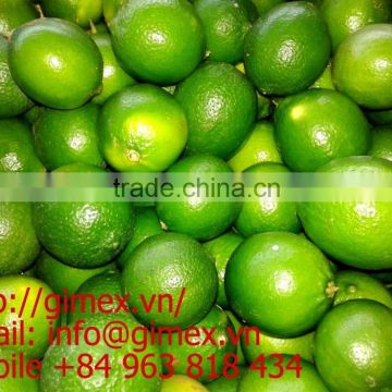 Vietnamese fresh lemon 2015