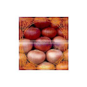Fresh Onion