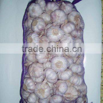 normal white garlic as big sale