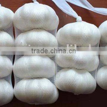 5.5cm fresh garlic,normal and pure white