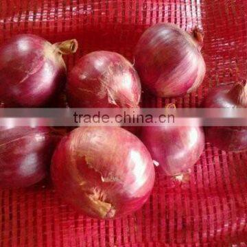 Fresh Red Big Onion (onoion) photo-3