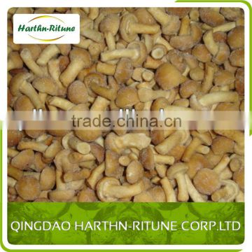 Wholesale Alibaba Chinese IQF Frozen Nameko