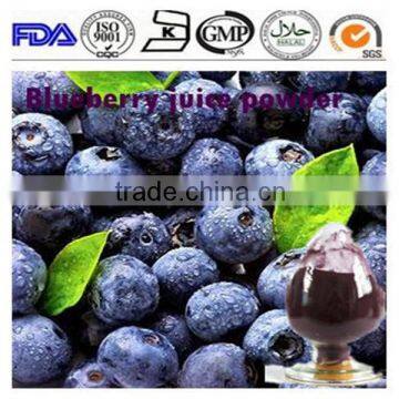 Dehydrated Blueberry powder