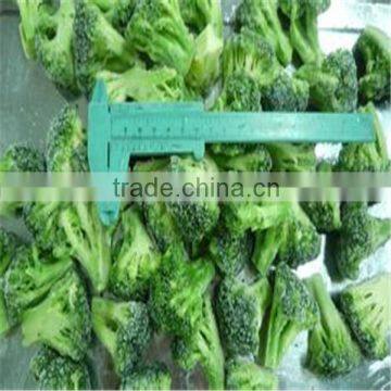 frozen food IQF Broccoli