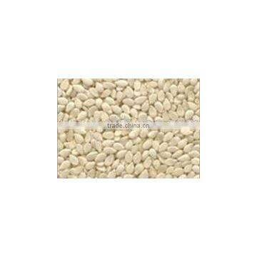 White Hulled Sesame Seeds