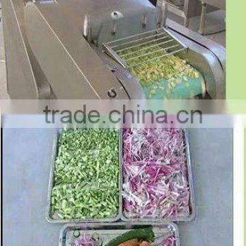 good quality Multifunction Vegetable shredder 0086-15838061756