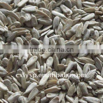 organic sunflower seed kernels