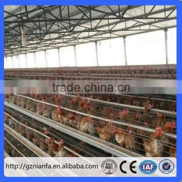 Canton Fair Chicken Layer Cage and Poultry Equipment Supplier Manufacturer (Guangzhou Factory) photo-2