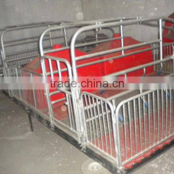 Pig Farming Equipment For Pig Farrow Crates photo-4