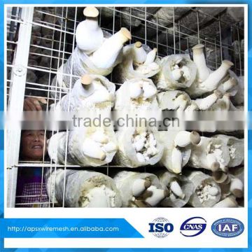 The mushroom welded mesh panel Edible fungus mushroom growth lattice