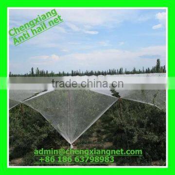 Agriculture Plantation protection Anti hail Net