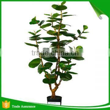 Artificial Green Ornamental Plant Indoor and Outdoor photo-2