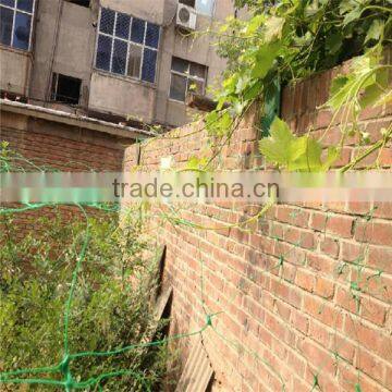 PE flower net, Garden plastic net, plant support net