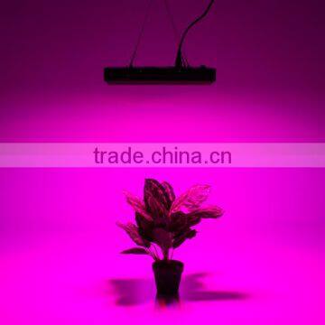 80x3 Watt 240watt Led Grow Light Old Style Cheap Led Grow Light photo-6