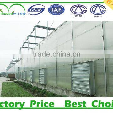 China polycarbonate tunnel greenhouse for sale