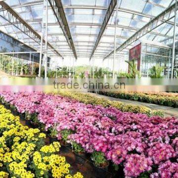 flower greenhouse