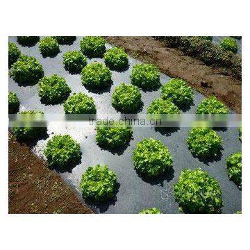 biodegradable mulch plastic film