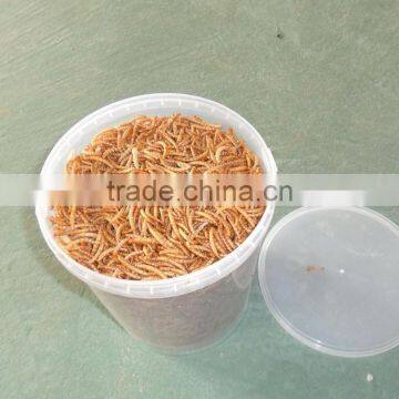 High Protein Dried 2.8cm Mealworm Chicken Feed, Mealworm Organic Fish Feed photo-3