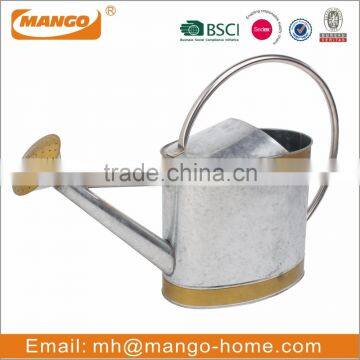 Indoor Oval Garden Galvanized Metal Watering Can