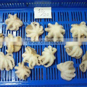 Frozen Octopus Whole Cleaned photo-2