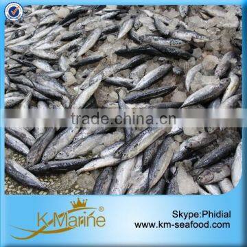 Bonito Fish In Stock For Market photo-2