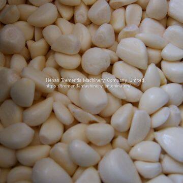 Garlic Peeling Machine Garlic Peeler Garlic Peeler Machine photo-3
