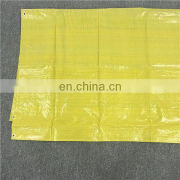 Hot Selling blue building tarps