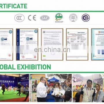 Taizhou 4 Stroke Plastic Mist Blower Power Crop Protection Insecticide Sprayer photo-5