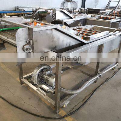 Industrial Food Equipment Small Model Automatic Processing Washer Vegetable Fruit Bubble Washing Machine photo-4
