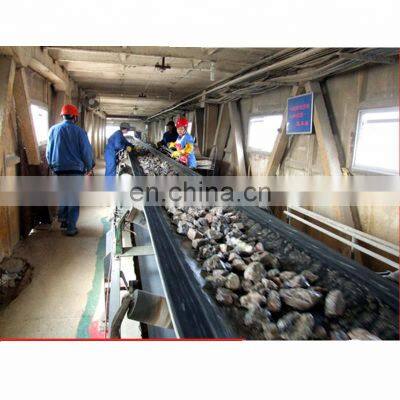 China Professional Manufacturer Sand Stone Conveyor Belt photo-5