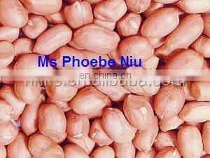 Wet Type Peanut Red Skin Peeling Machine photo-5