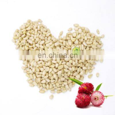 Byloo Top Quality Siberian Pine Nuts/korean Pine Nuts/pine Nuts Kernel for us