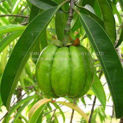 Garcinia Cambogia Extract photo-4