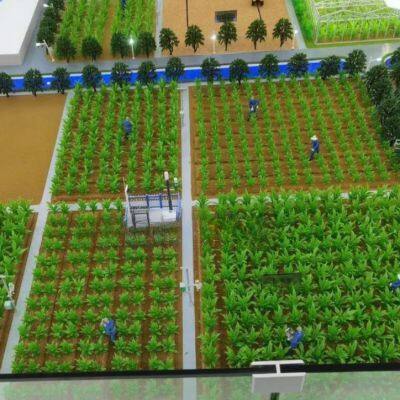 Agricultural Sand Table Model Making Factory photo-4