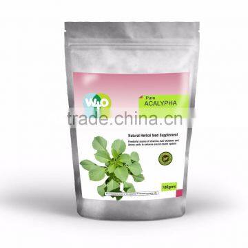 GradeOne Acalypha indica Powder Producer